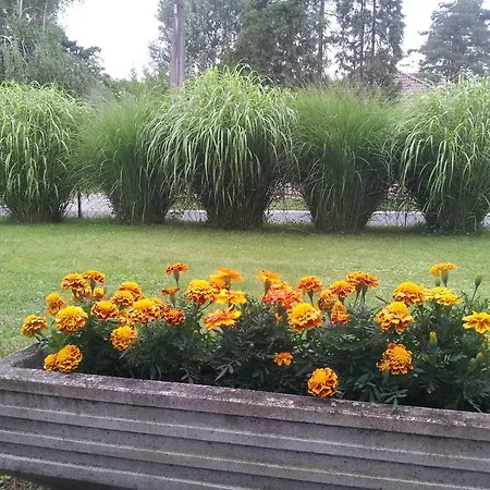 民宿 Hajas Familia Kiado Szobak Balatonmáriafürdő
